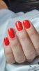 Roniki Classic red széria TPO free - 03 gél lakk