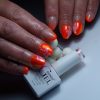 Roniki Fluorescence széria TPO free - 10 gél lakk