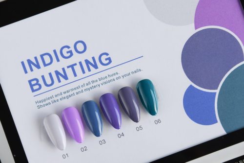 Roniki Indigo bunting gél lakk box