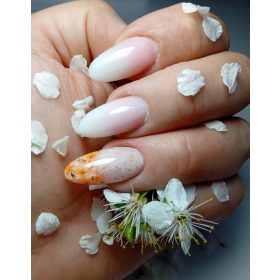 Roniki Rubber base  - 05