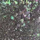 Roniki Prizmatica flakes & glitter 01