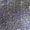 Roniki Prizmatica flakes & glitter 03