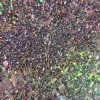 Roniki Prizmatica flakes & glitter 04