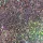 Roniki Prizmatica flakes & glitter 04